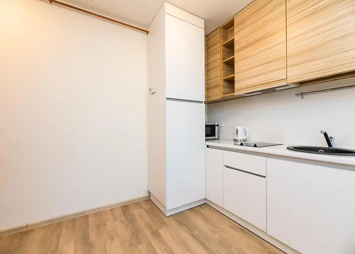 Lunos Apartamentai - Centras *